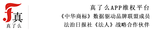 真了么网站LOGO